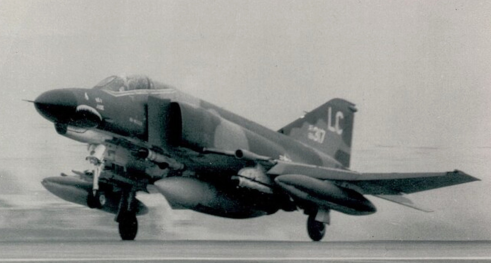 421st Tactical Fighter Squadron “Black Widows”