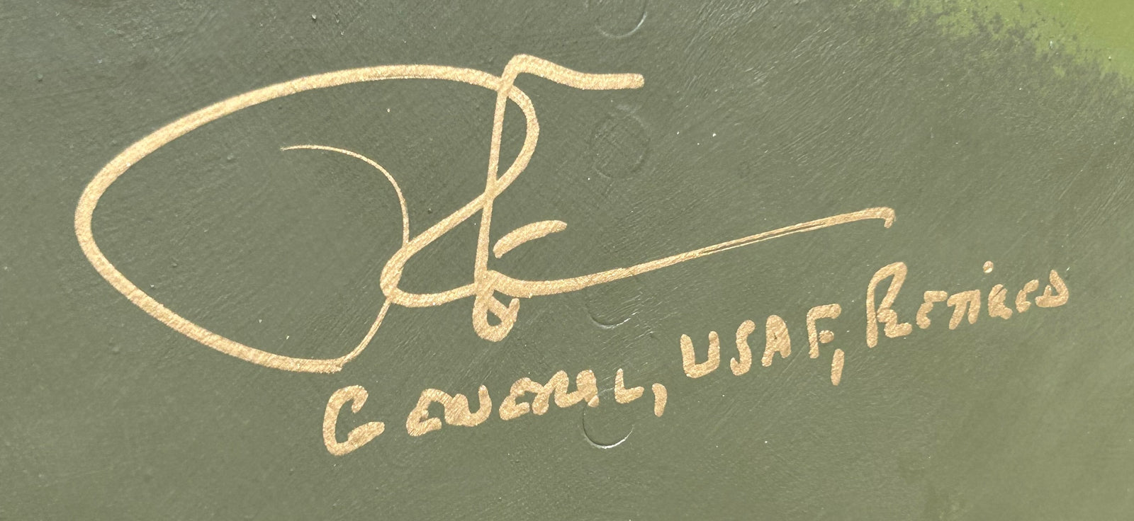 421st Tactical Fighter Squadron “Black Widows”