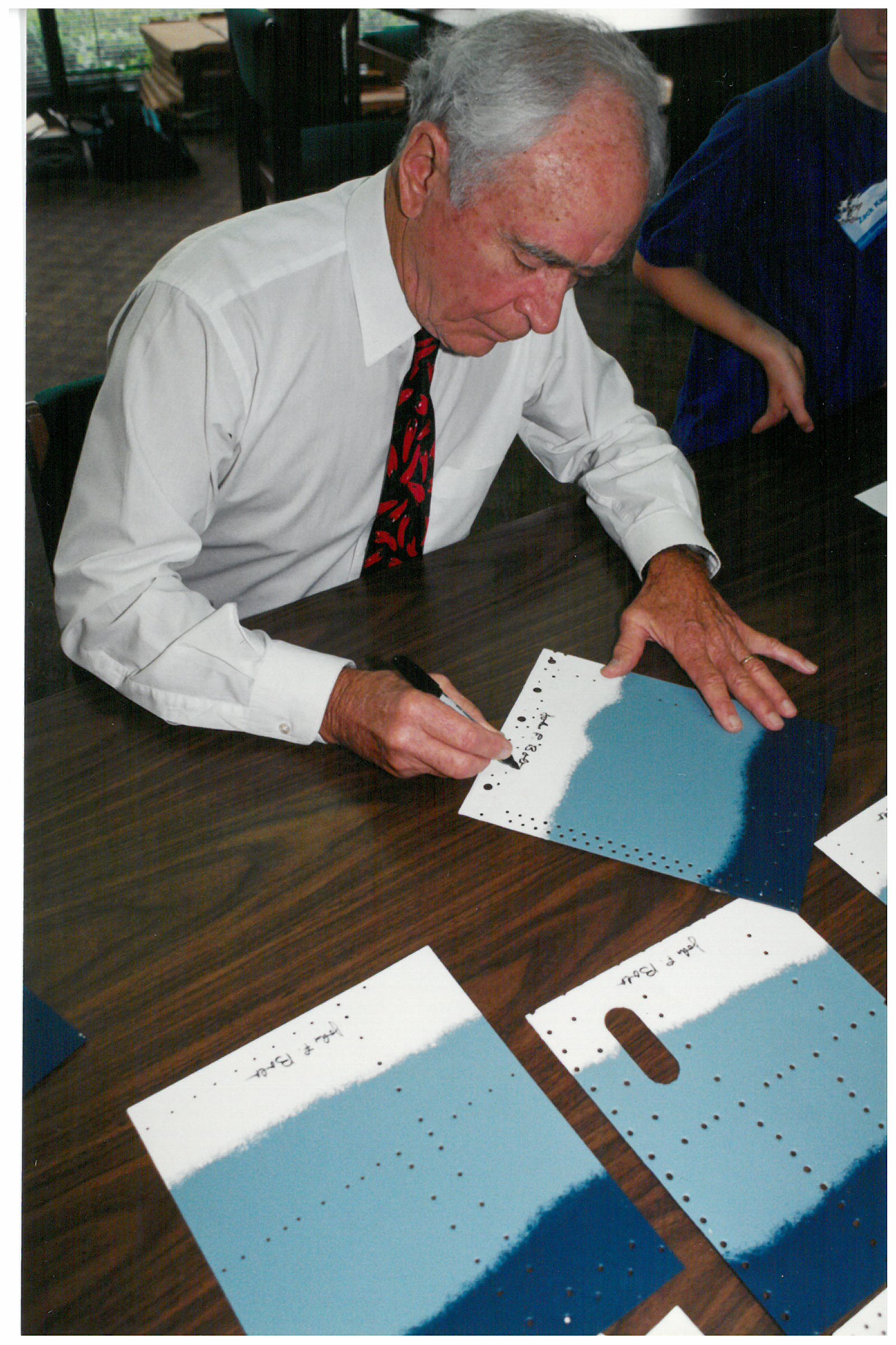 John Bolt / VMF-214 Black Sheep (on F4U skin)