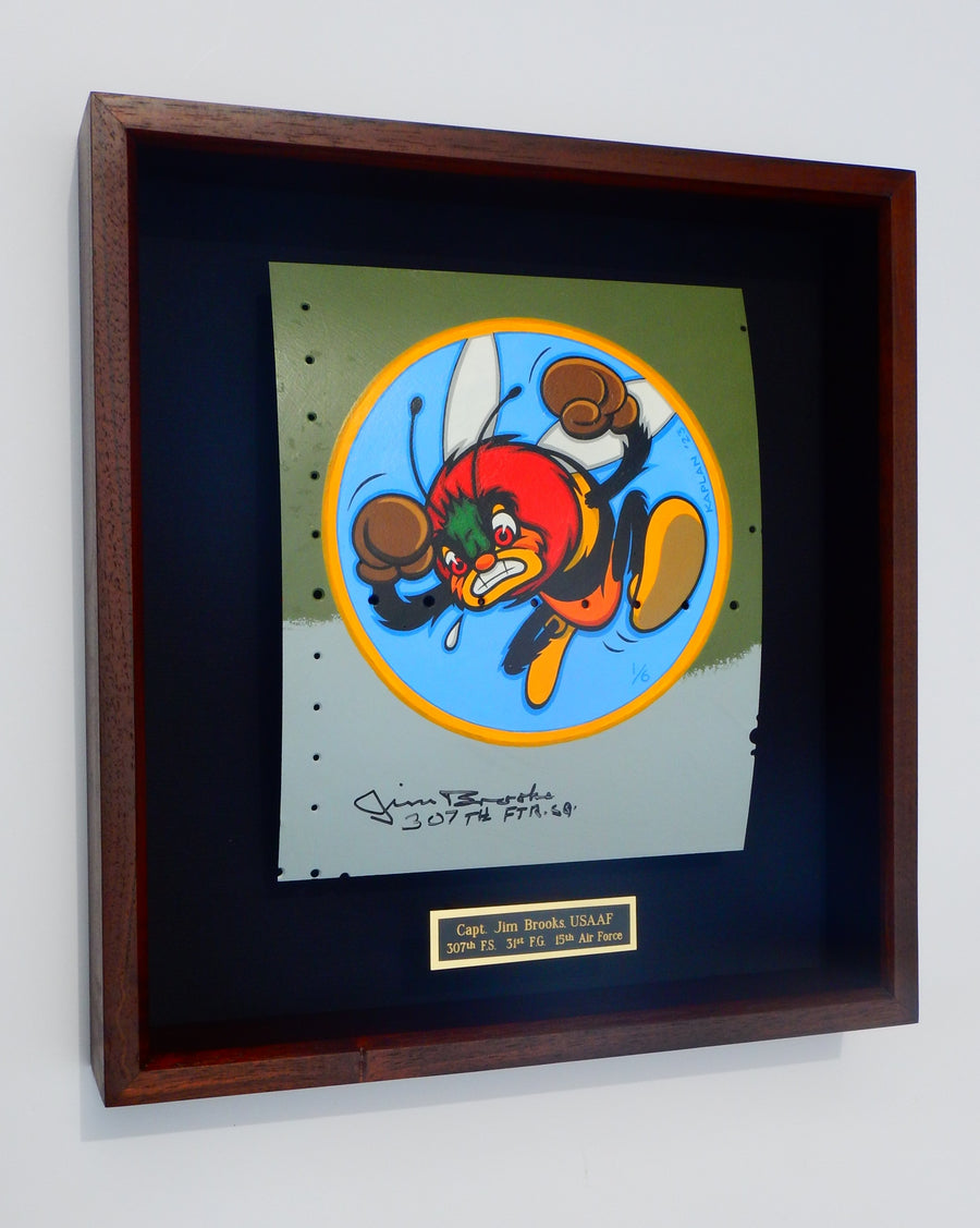 James Brooks / 307th FS (on P-51 skin)