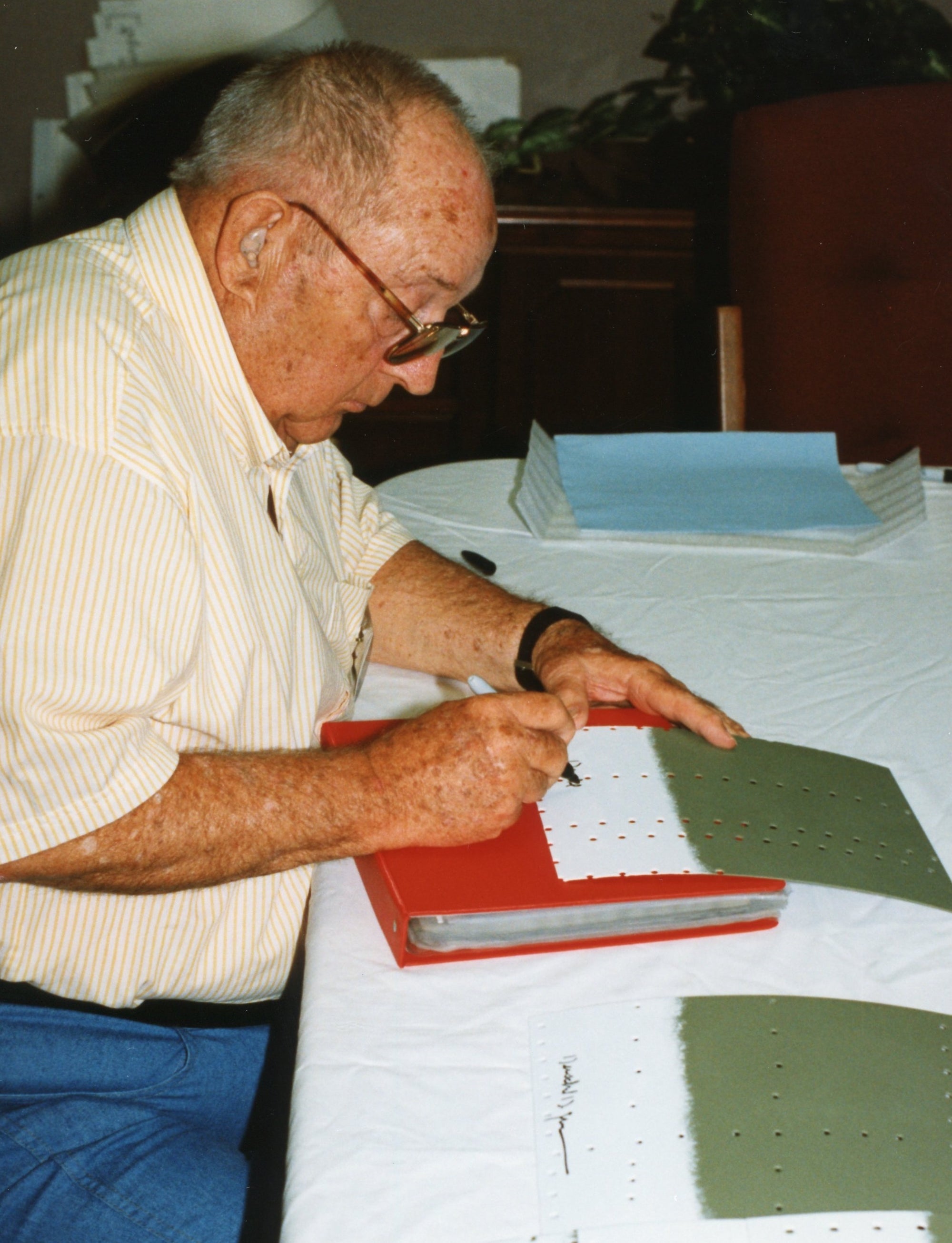 Herky Green / 317th FS (on P-40 skin)