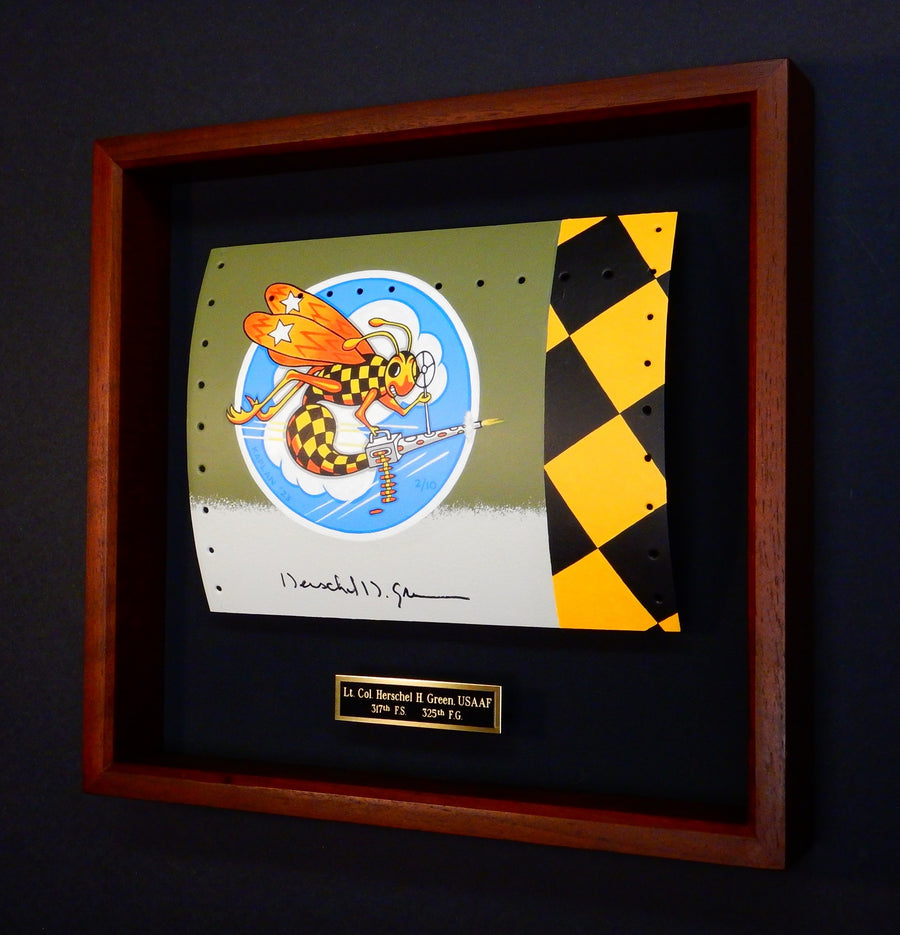 Herky Green / 317th FS (on P-40 skin)